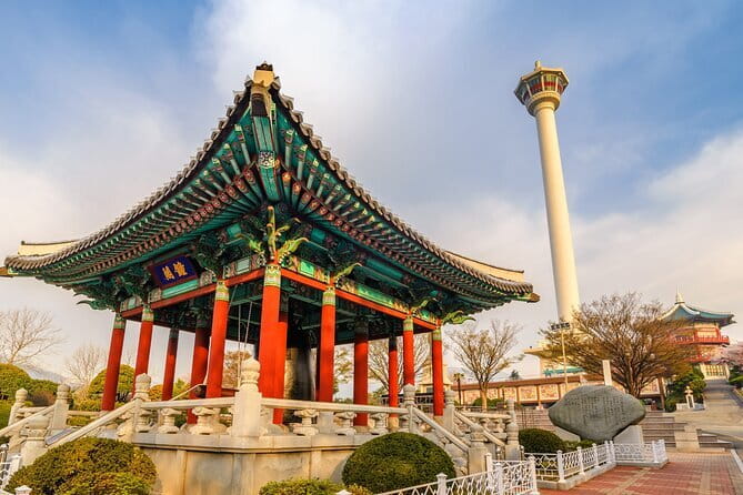 1-Day Busan Shore Excursion – City Highlights for Cruise Guests - Guide quality, vehicle comfort, and group size