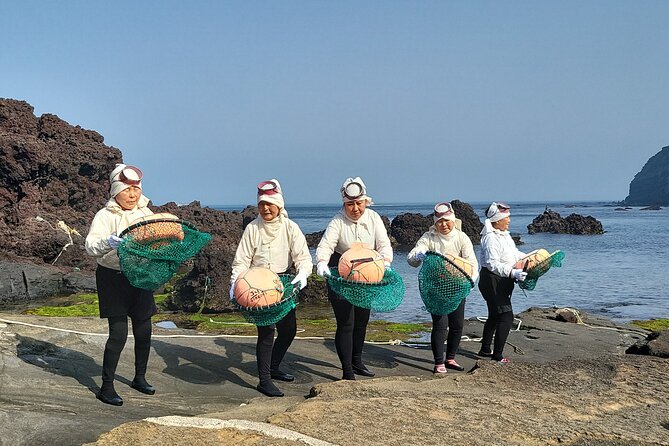 2 Day Private pictures of Nature Tour very experience taxi tour - Andoleum Secret Forest and Jeju Horse Pasture