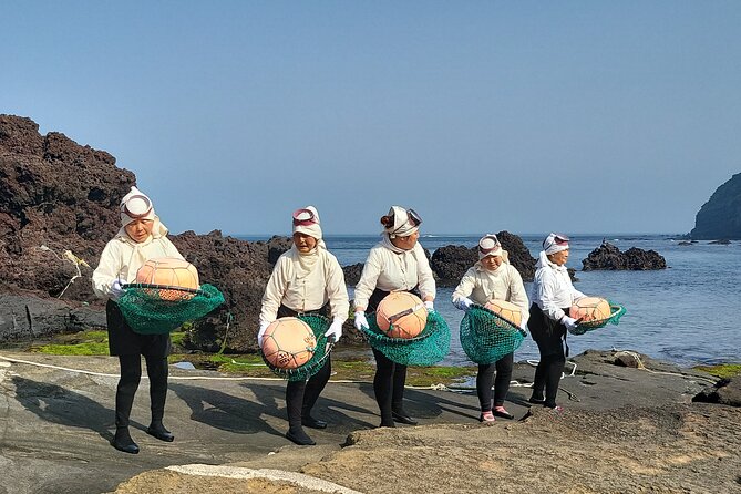 2 Day Private pictures of Nature Tour very experience taxi tour - Who will enjoy this Jeju tour most