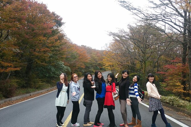 2 Days Jeju Island Private Taxi Tour (East/West of Jeju Island ) - Tickets, meals, and the real cost