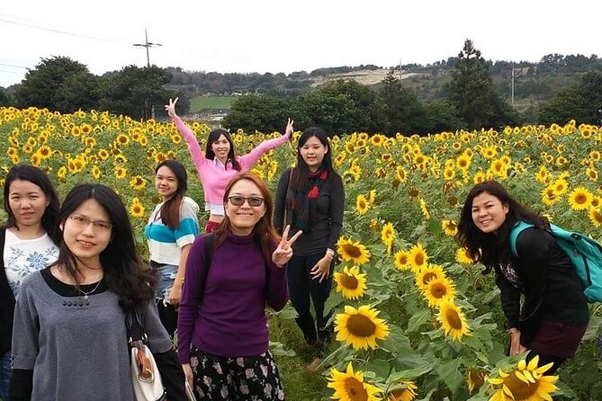 2 Days Private Taxi Tour - West and South of Jeju Island - Why a private taxi makes sense on Jeju