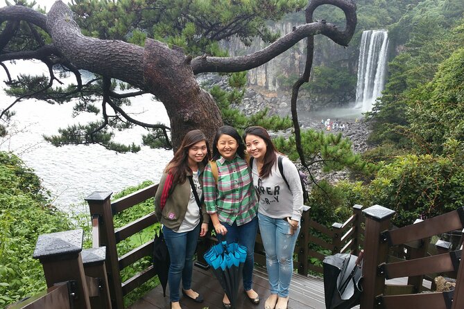 2 Days Private Taxi Tour - West and South of Jeju Island - Sinchang’s windmills and the O’Sulloc tea country