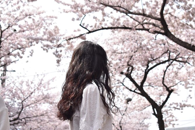 2026 Cherry Blossom East Day Tour in Jeju with UNESCO - Key points to know before booking