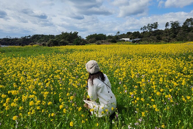 2026 JEJU Cherry Blossom West&South Full Day Tour with UNESCO - What the $77.48 price really covers