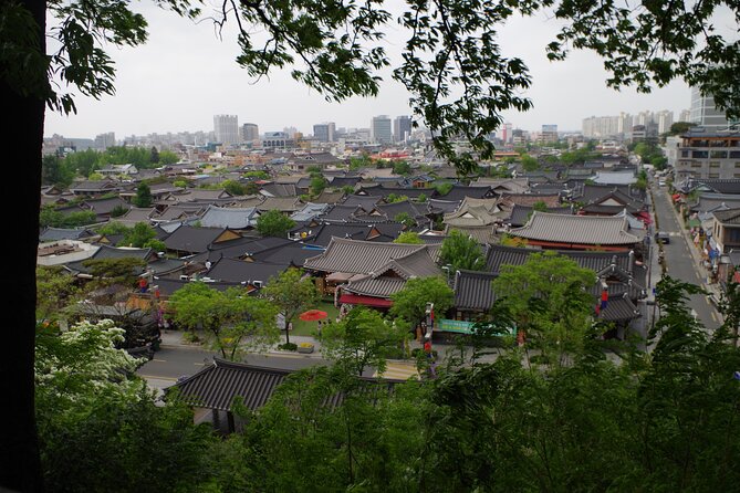 3-Day Korea Western course by K-shuttle Tour from Seoul to Busan - Guides, group size, and the practical side