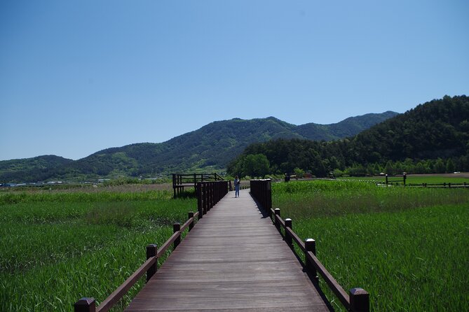 3-Day Korea Western course by K-shuttle Tour from Seoul to Busan - Who should book this 3-day route?