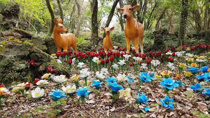 3 days Private Taxi Tour in Jeju Island - Key points to know before booking