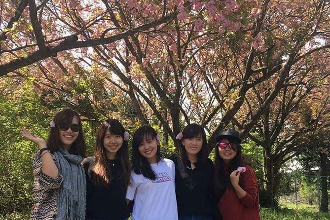 3 days Private Taxi Tour in Jeju Island - Day three: west coast views, tea, and volcanic shores