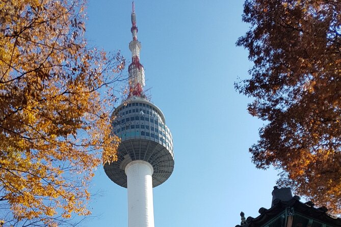 Afternoon Seoul: Hanok Vibes, Netflix Street Food & N Seoul Tower - Guide quality matters more than the vehicle
