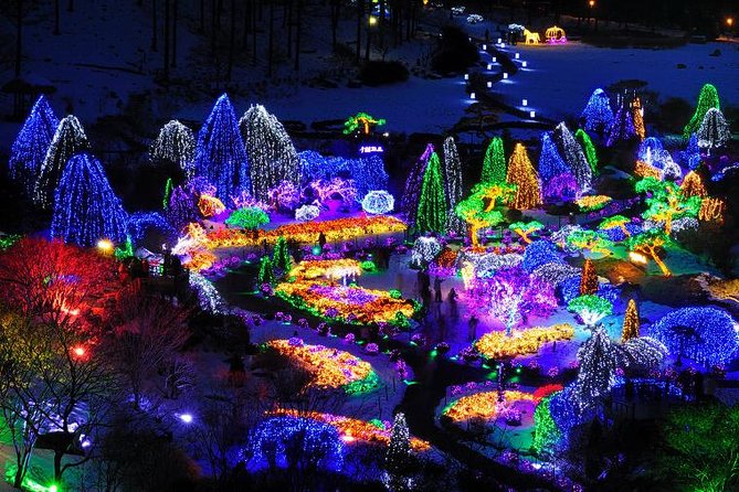 All Day Private Make your own plan tour to Nami Island and others - Why a private day from Seoul can work well