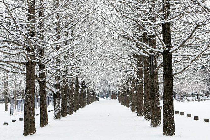 All Day Private Make your own plan tour to Nami Island and others - Yansuri: ask what you want to see