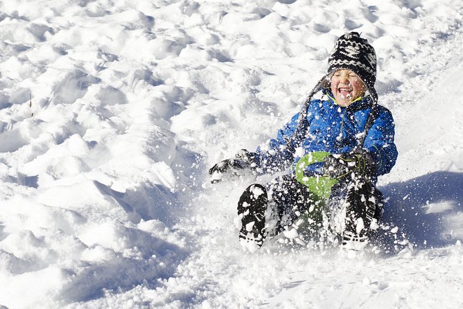 All Day Private Make your own plan tour to Nami Island and others - Winter sledding at Gapyeong Sledding Hills