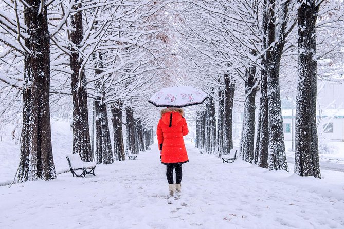 All Day Private Make your own plan tour to Nami Island and others - Gangchon Rail Park for an active afternoon