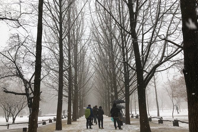 Alpaca, Nami, Eobi with Rail Bike or Strawberry - Nami Island, trees, ferries, and Winter Sonata
