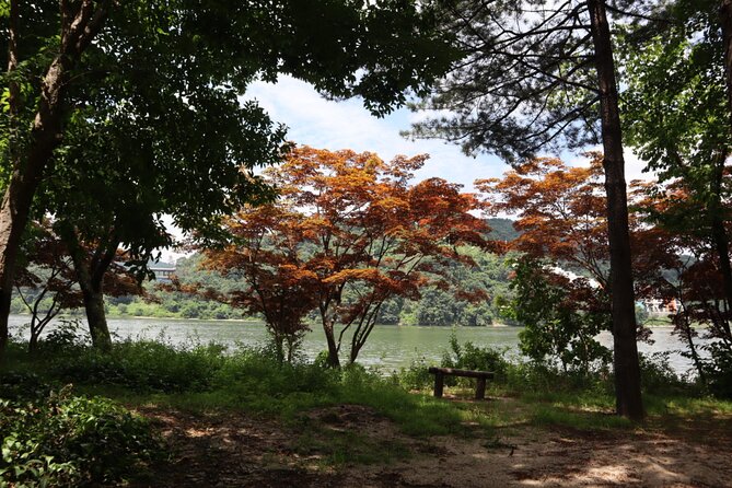 Alpaca, Nami, Petite Fr, Italian Village, Garden of Morning Calm - Five countryside stops from one Seoul pickup