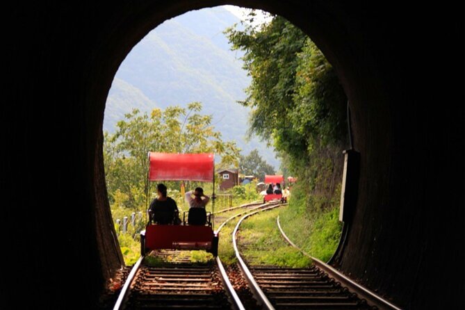 Alpaca World and Nami Island with Gangchon Rail Bike Tour - How the timing feels across a 10-hour day