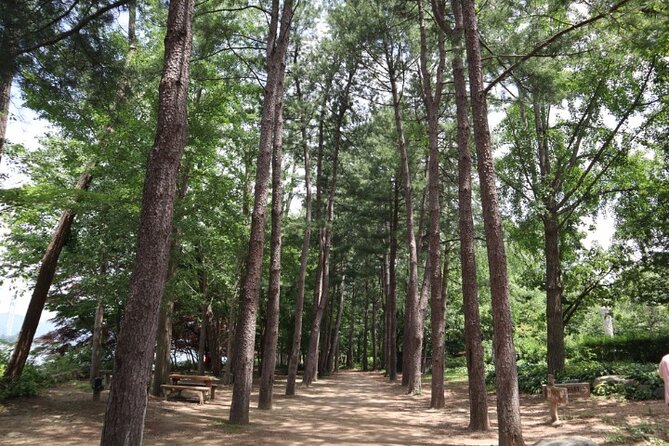 Alpaca World and Nami Island with Gangchon Rail Bike Tour - The guide matters more than usual