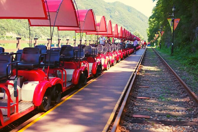 Alpaca World and Nami Island with Gangchon Rail Bike Tour - Alpaca World: the most playful two hours