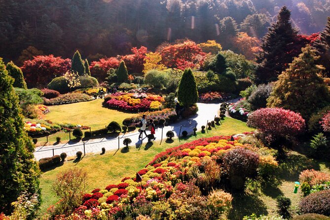 Alpaca World & Nami Island & Garden of Morning Calm One Day Tour - Alpaca World: the day’s most personal animal encounter