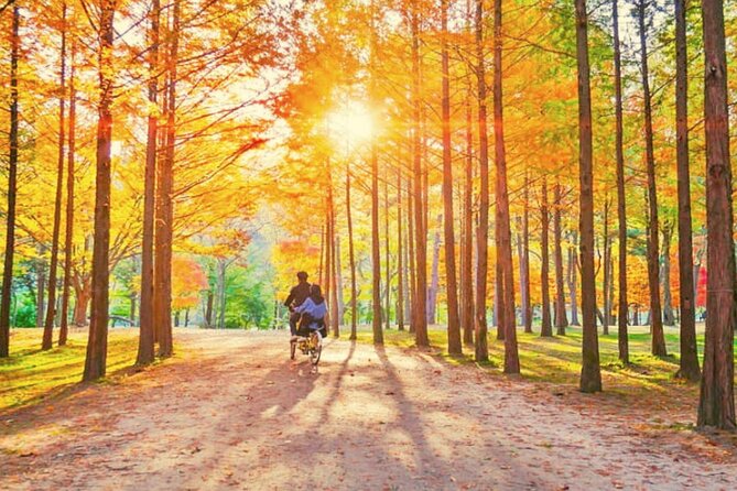 Alpaca World & Nami Island & Garden of Morning Calm One Day Tour - Who will enjoy this tour most