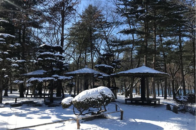 Alpaca World & Nami Island & Garden of Morning Calm One Day Tour - Is $78.52 a good price?