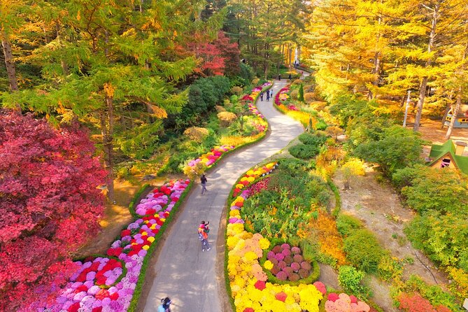 Alpaca World Tour with Nami Island (optional Railbike or Garden) - Garden of Morning Calm changes with the season