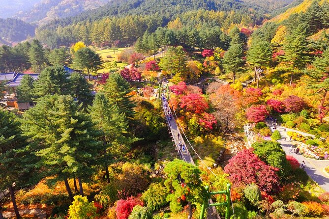 Alpaca World Tour with Nami Island (optional Railbike or Garden) - Five packages, five different kinds of day