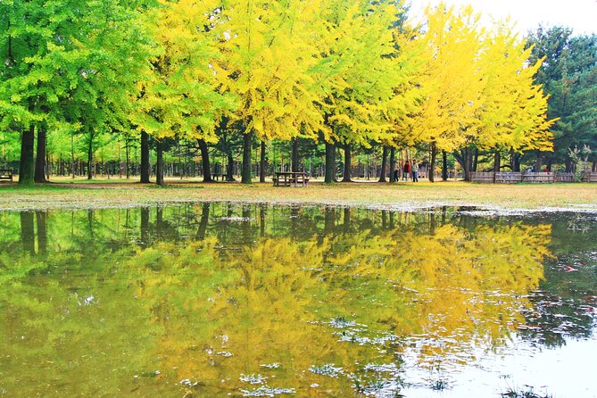 Alpaca World Tour with Nami Island (optional Railbike or Garden) - Guides can make a long day much easier
