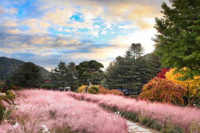 Alpaca World Tour with Nami Island (optional Railbike or Garden) - The bus ride is the price of seeing four attractions