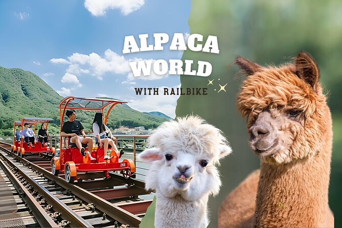 Alpaca World with Gangchon Rail Park One Day Tour - Key points to know before booking