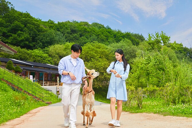 Alpaca World with Gangchon Rail Park One Day Tour - Why this Seoul day trip works