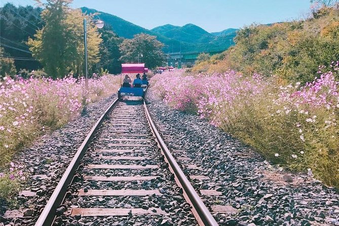 Alpaca World with Gangchon Rail Park One Day Tour - Is $86.20 a fair price?