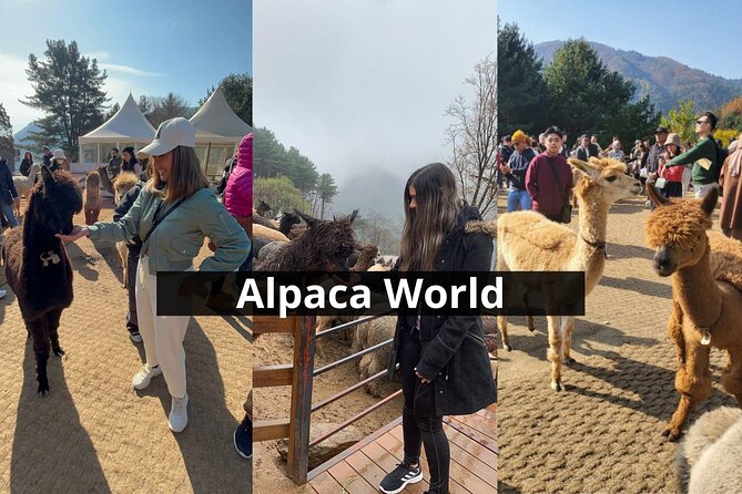 Alpaca World with Gangchon Rail Park One Day Tour - Booking, cancellation, and timing