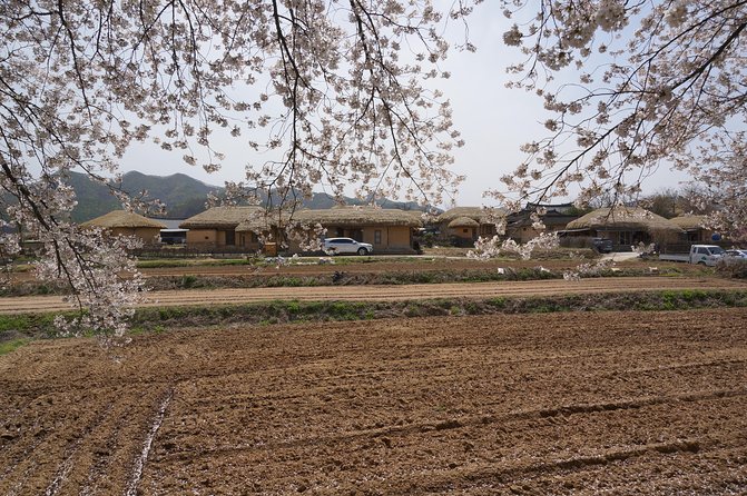Andong Hahoe Folk Village [UNESCO World Heritage] Private Tour from Seoul - Lunch, especially the Andong chicken