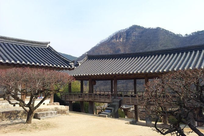 Andong Hahoe Village [UNESCO site] Premium Private Tour from Seoul - Why Andong Hahoe is worth the long ride