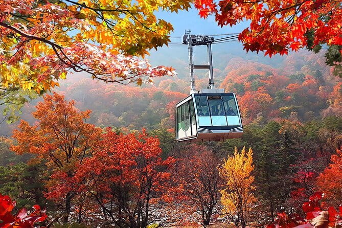 Autumn Foliage-Mt. Seorak, Sokcho Fish Market, Sokcho Beach - Key points before you book