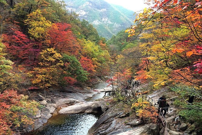 Autumn Foliage-Mt. Seorak, Sokcho Fish Market, Sokcho Beach - Why Seoraksan makes this day trip worthwhile