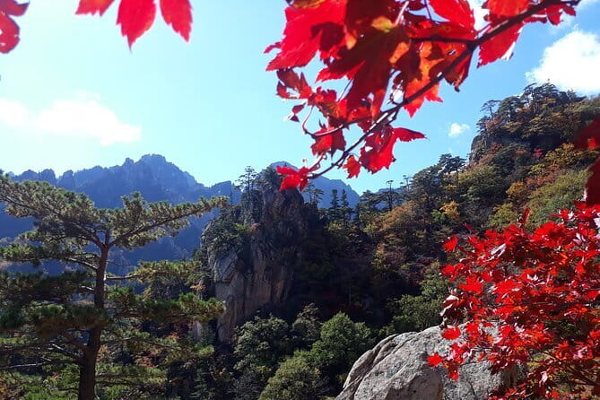Autumn Foliage-Mt. Seorak, Sokcho Fish Market, Sokcho Beach - The early ride from Seoul to Seoraksan