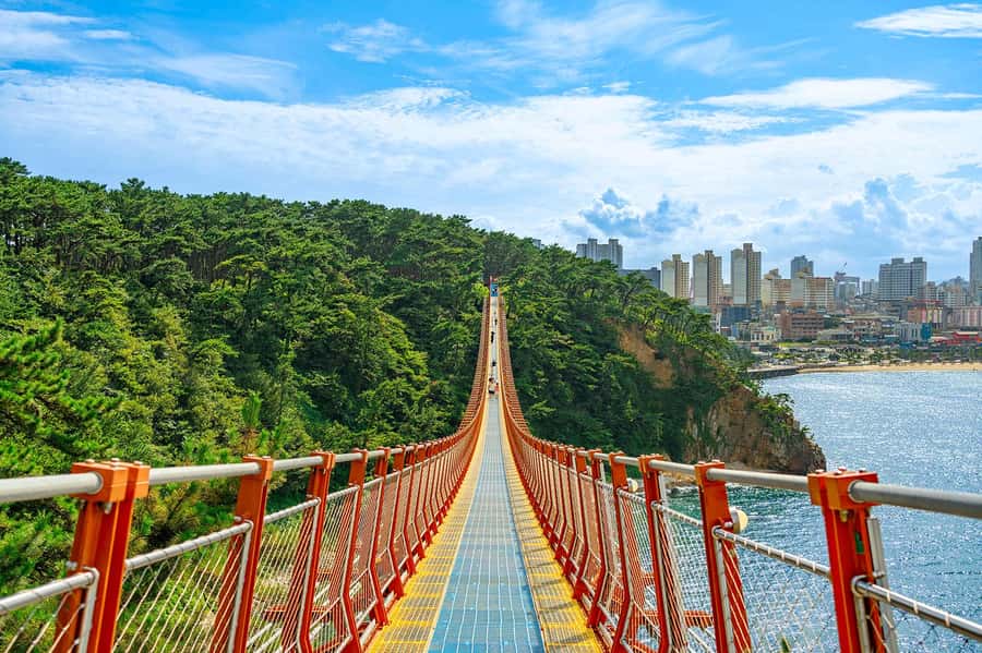 Busan: 7 Highlights Gyeongju City One Day Tour - Key points at a glance