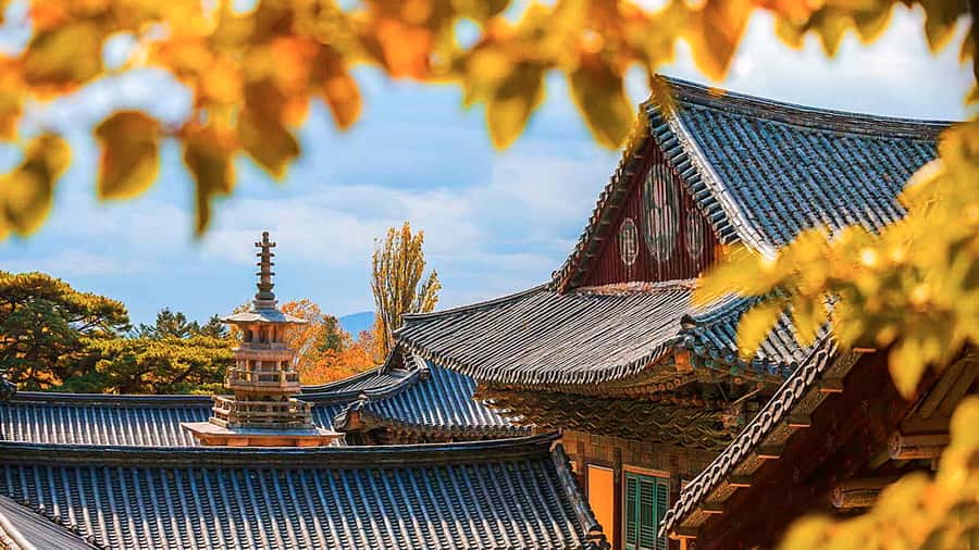 Busan: 7 Highlights Gyeongju City One Day Tour - Gyochon Traditional Village preserves a Joseon-era story