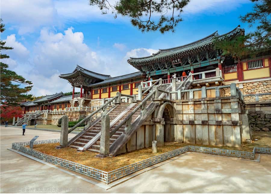Busan: 7 Highlights Gyeongju City One Day Tour - Woljeonggyo finishes the day with timber and water