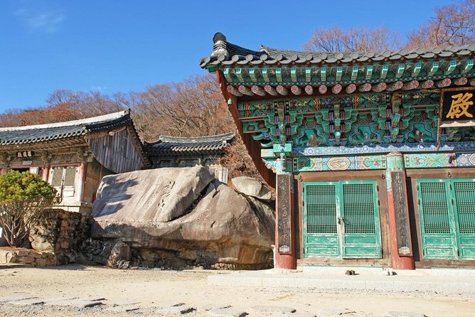 Busan Beomeosa Temple & Hongbeopsa Temple with temple lunch - Key points to know before booking