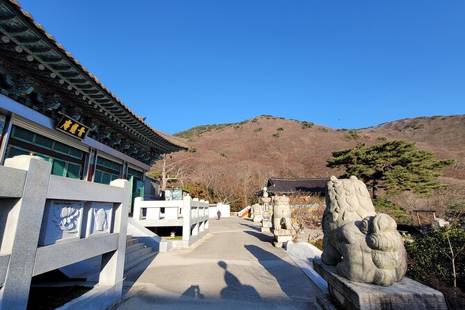 Busan Beomeosa Temple & Hongbeopsa Temple with temple lunch - Why this three-and-a-half-hour temple tour works