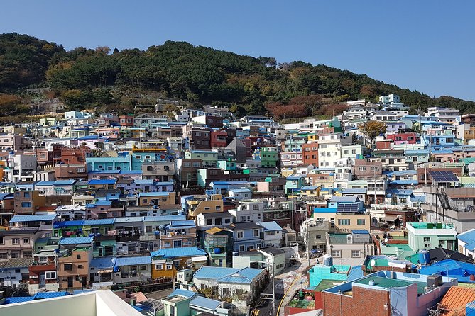 Busan city tour from Seoul by KTX bullet train - Why Busan works as a long day from Seoul