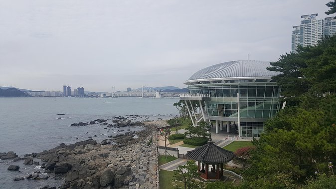 Busan city tour from Seoul by KTX bullet train - Jagalchi Market and Busan’s working waterfront