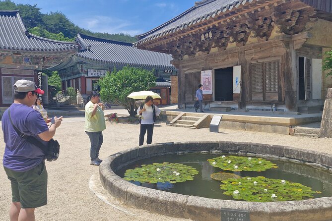 Busan Comfortable Private Tour For 4hours - Who will get the most from this experience?