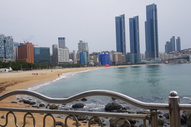 Busan CUSTOMIZED Tour for PRIVATE GROUP CRUISE PASSENGERS - The UN Memorial Cemetery adds quiet meaning