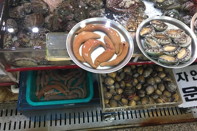 Busan day trip including Gamcheon culture village from Seoul by KTX train - Gamcheon Culture Village, color with a difficult past