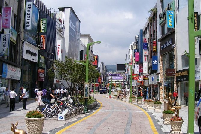 Busan day trip including Gamcheon culture village from Seoul by KTX train - Lunch, timing, and the true cost