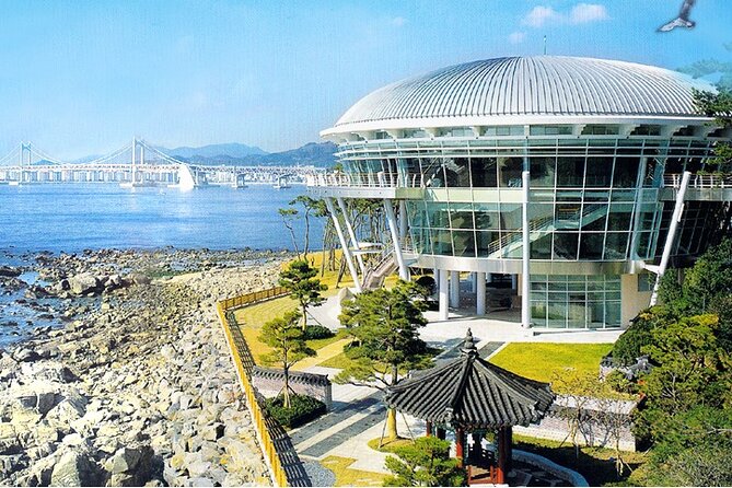 Busan: Fully Customizable Private Tour - Why a Custom Busan Day Can Make Sense